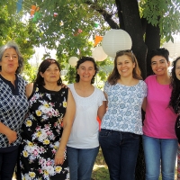 Fiesta 2015